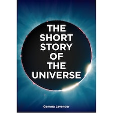 The Short Story of the Universe