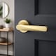 image 5 of AXS Detroit Door Handles on Rose - Door Pack - Latch Door - Satin Brass