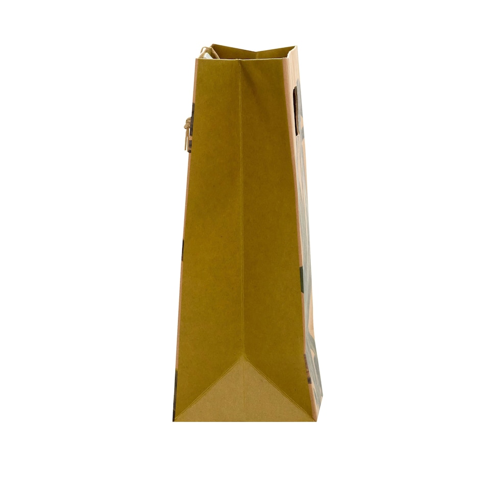 image 1 of Botanical Medium Gift Bag - Pack of 3