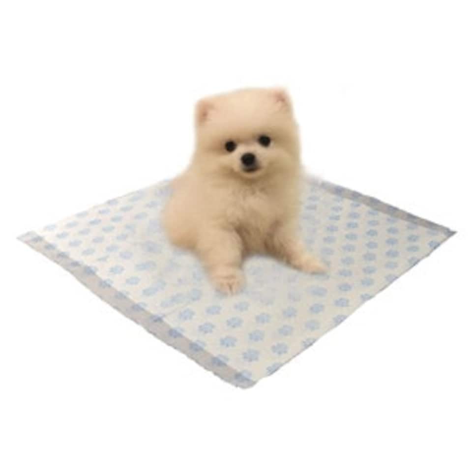 image 1 of 60 Sheets of 60x40cm 3 Highly Absorbent Layers Of Hygienic Easy To Dispose Leak Proof Dog Puppy Toilet Training Pads
