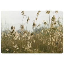 Pampus grass plumes Slimbridge (Rug) Cream | L