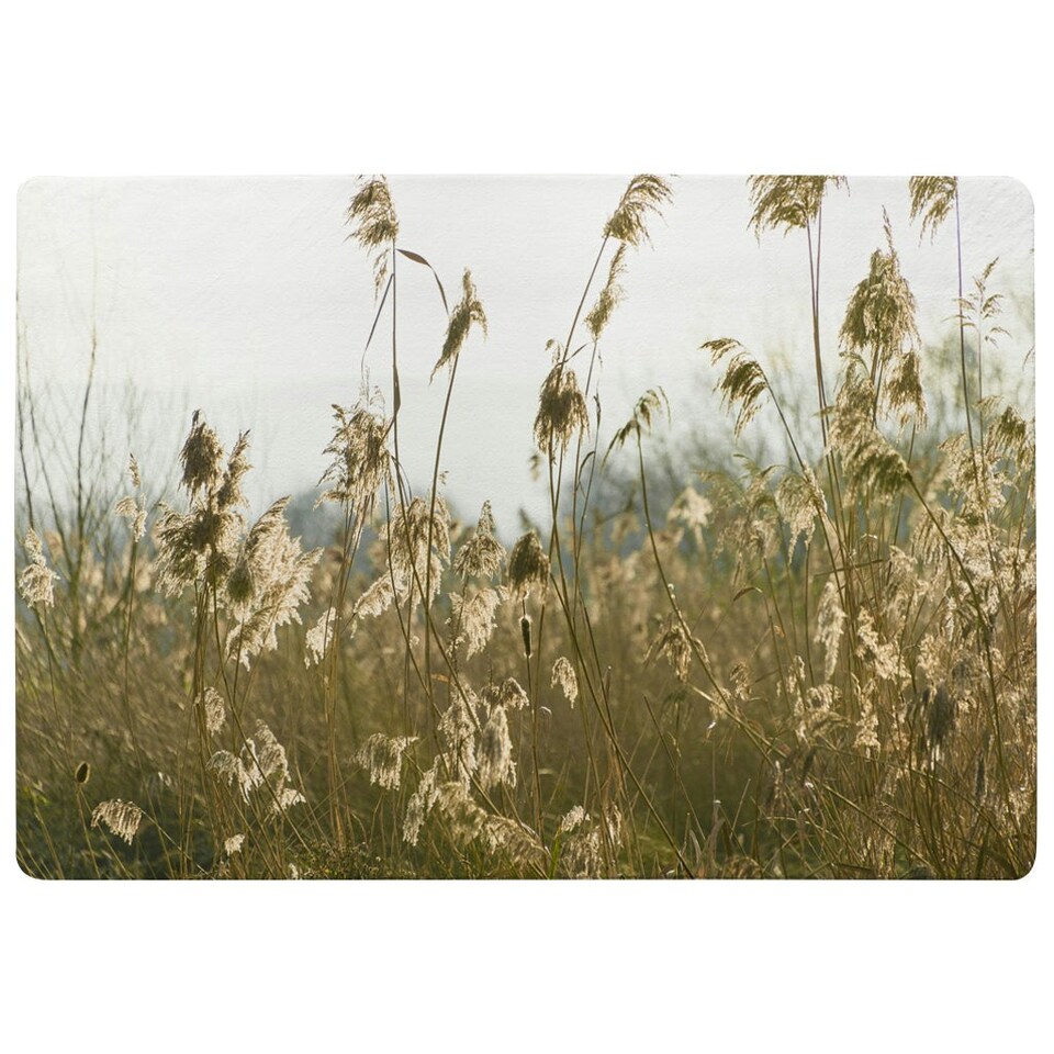 image 1 of Pampus grass plumes Slimbridge (Rug) Cream | L