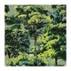 image 1 of Holden Decor Woodland Painted Textured Wallpaper | Green | Green | 1