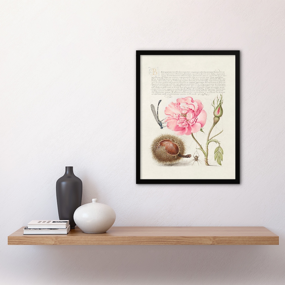 image 1 of Model Book of Calligraphy Framed Wall Art Damselfly Rose Chestnut Spider