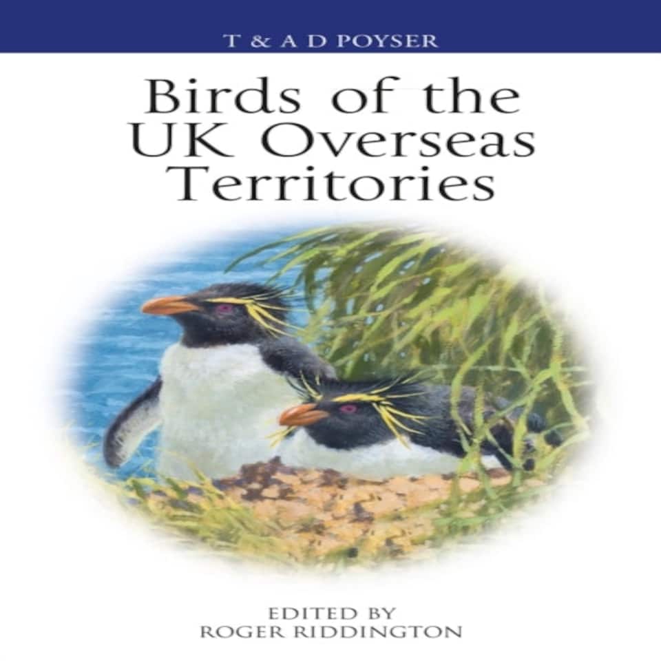 Birds Of The Uk Overseas Territories