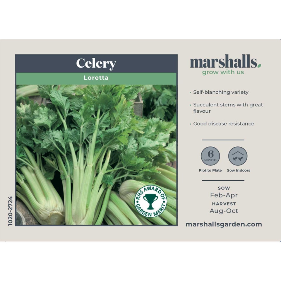 image 1 of Marshalls Garden Celery Seeds Loretta F1 200 seeds