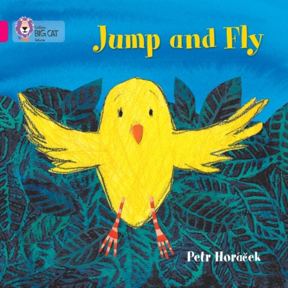 Jump And Fly
