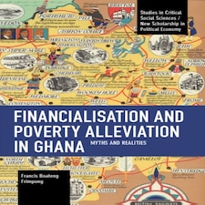Financialisation And Poverty Alleviatio