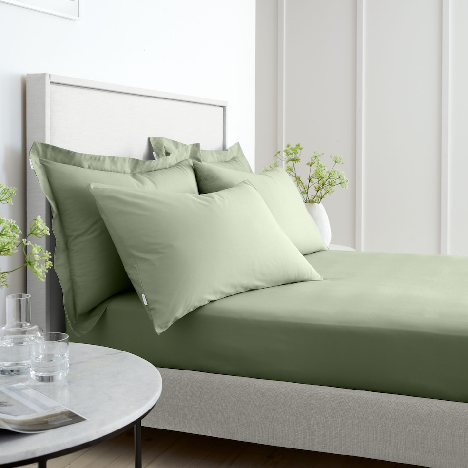 image 1 of Bianca 200 Thread Count Cotton Percale Standard Pillowcase Pair | Green | Sage Green | Standard
