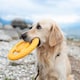 image 4 of Kiwi Walker Bouncy Floating Frisbee Dog Toy | Orange | Orange