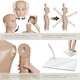 image 4 of Mannequin - adjustable, full body, life size, realistic proportions, glass plate stand | Cream | beige | Child | 1