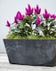 image 2 of Balcony Trough Ella Planter - Artstone - L17 x W55 x H17 cm - Black | Black