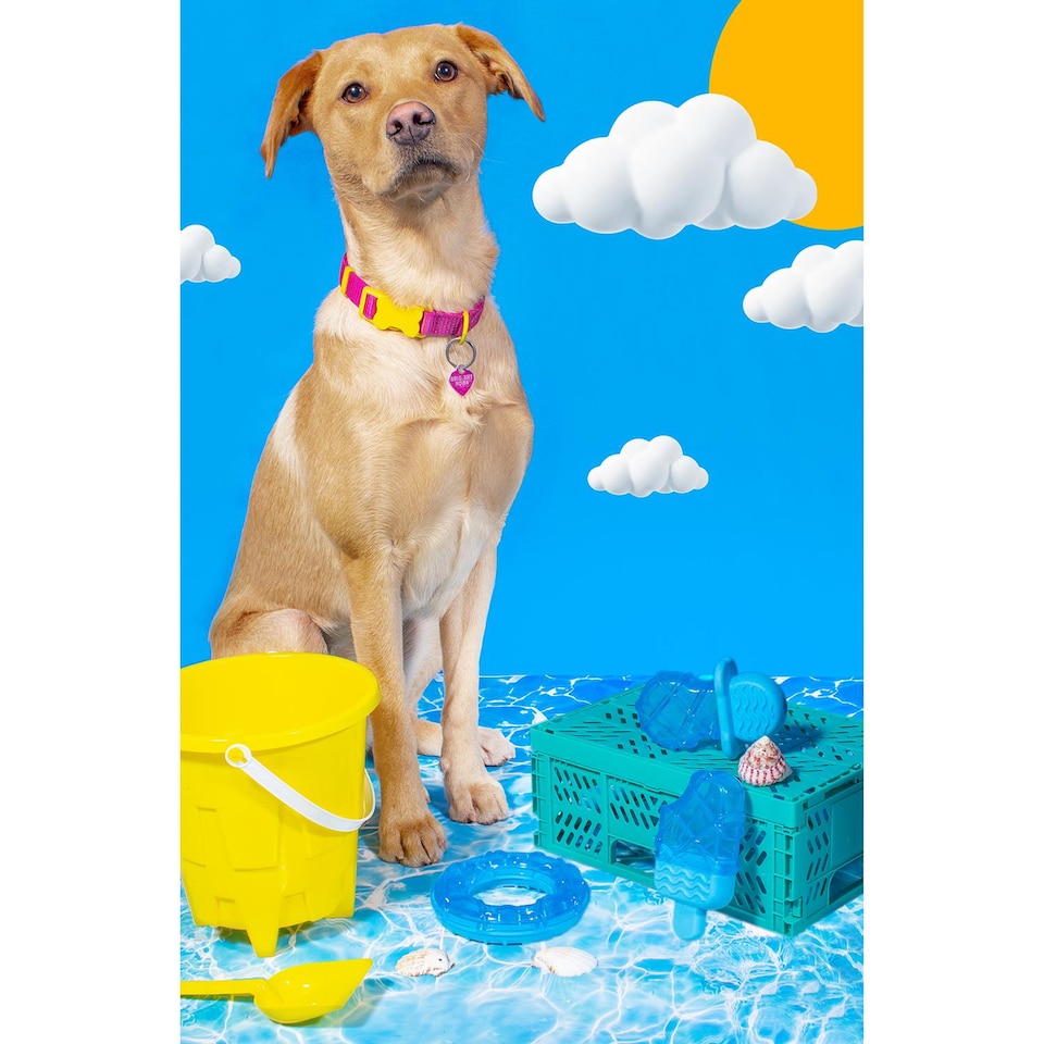 image 1 of Dummy Shaped Summer Cooling Pet Toy - Dog Puppy Teething Chew Outdoor Play Freezable Durable Rubber Hydrating Teether Frozen