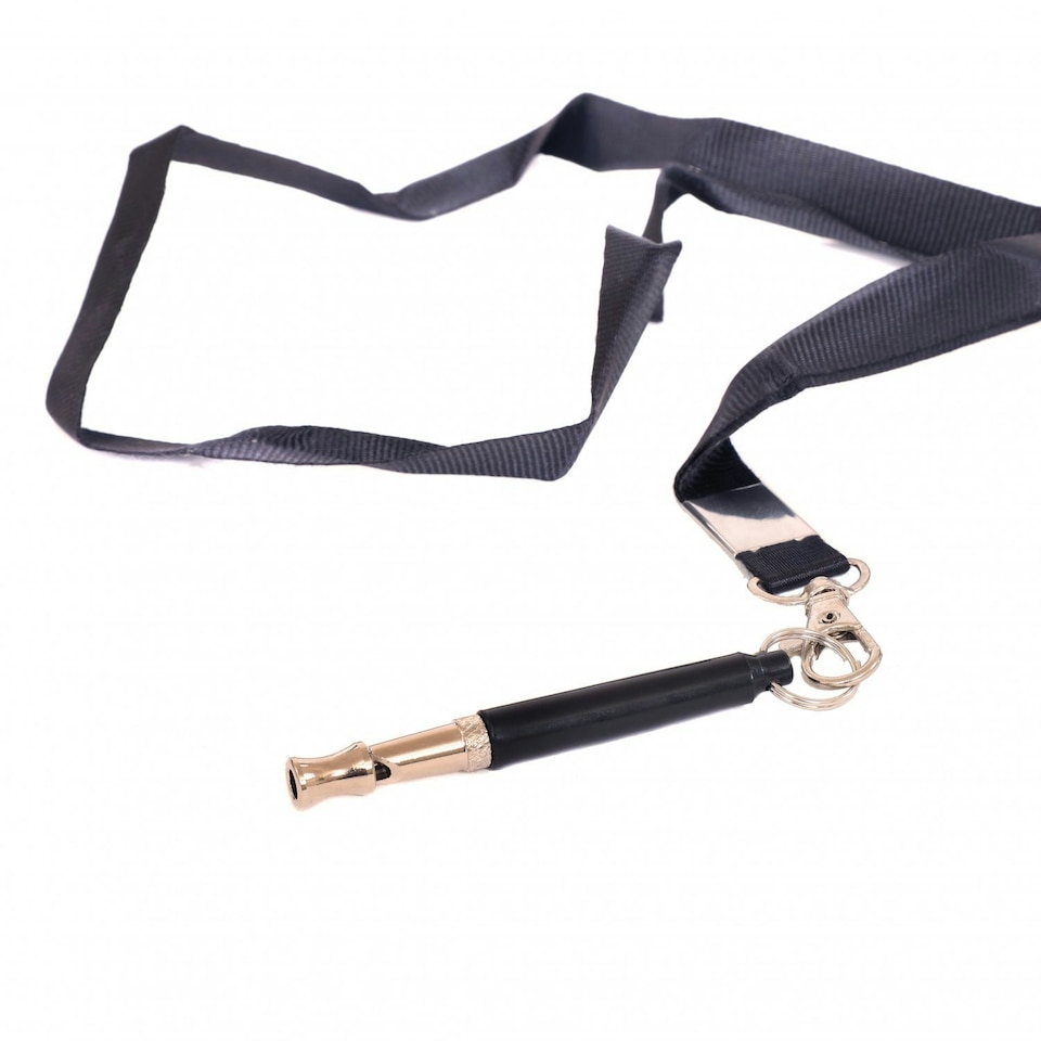 image 1 of Oypla Ultrasonic Dog Training Whistle Barking Deterrent with Lanyard
