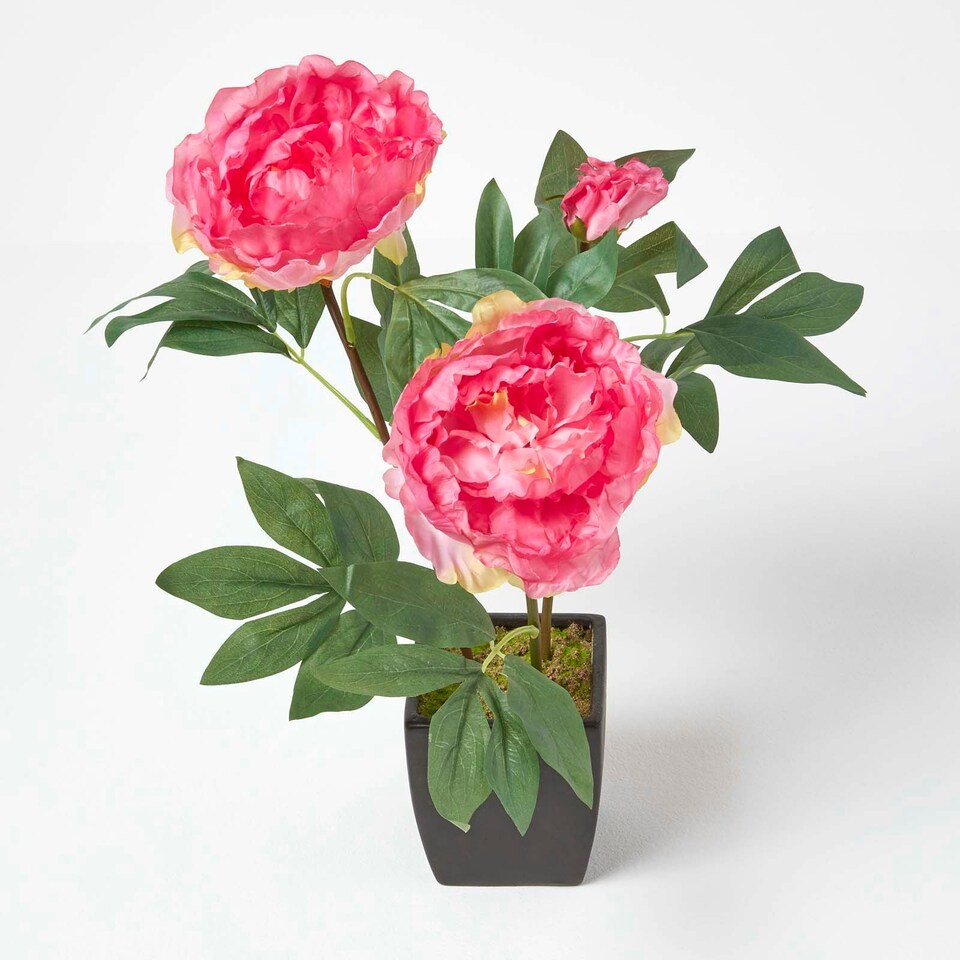 image 1 of Homescapes Pink Artificial Peonies in Decorative Black Pot, 48 cm Tall