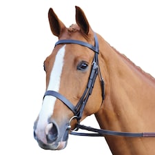 Aviemore Plain Leather Horse Bridle - Black - Small Pony