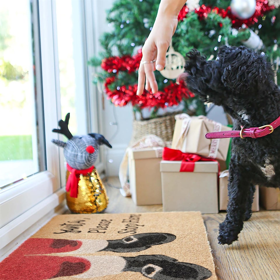 image 1 of Nicola Spring Christmas Coir Door Mat - 60 x 40cm - Santa