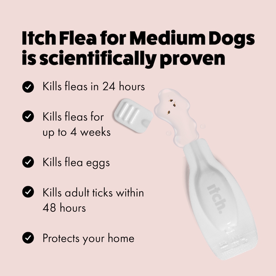 image 1 of Itch Flea Medium Dog Flea & Tick Spot On Treatment 4 Pipette (10-20kg)