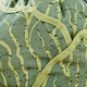 image 4 of Ulster Weavers Time to Grow Tea Cosy - Muff Green