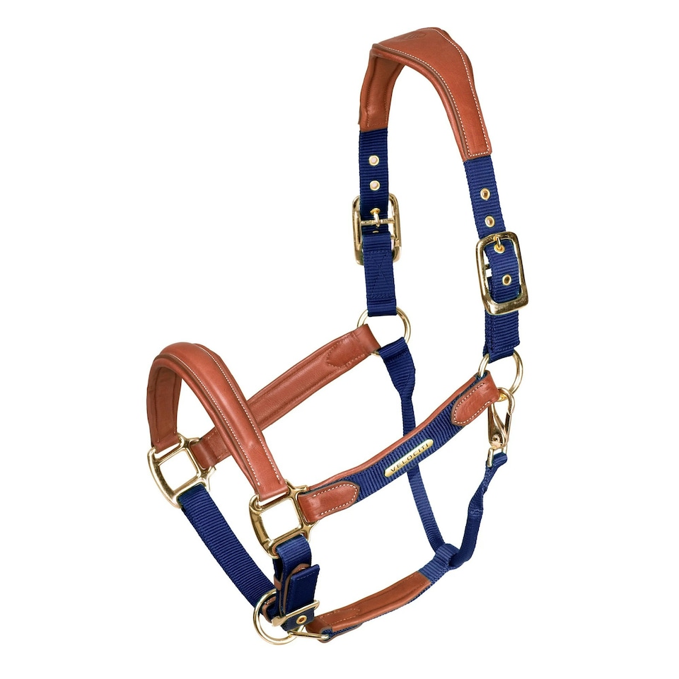 Velociti Lusso Leather Padded Horse Headcollar - Navy - Cob