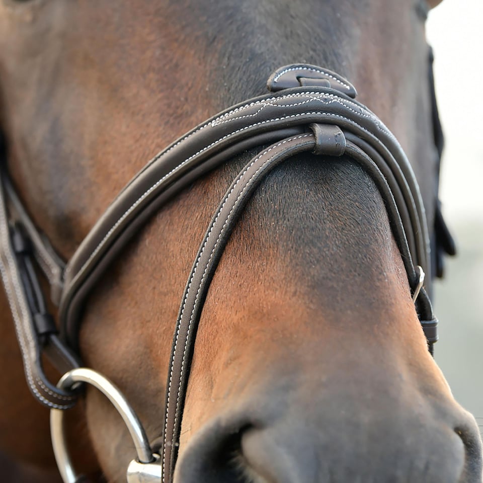image 1 of Collegiate Comfitec Opulux Padded Leather Sch Horse Bridle | Brown | Dark Brown | Pony | 1