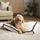 image 1 of OHS Sherpa Bind Rectangular Soft Plump Plush Cosy Pet Dog Cat Crate Cushion Bed Mat Multi | Cream and Black | L