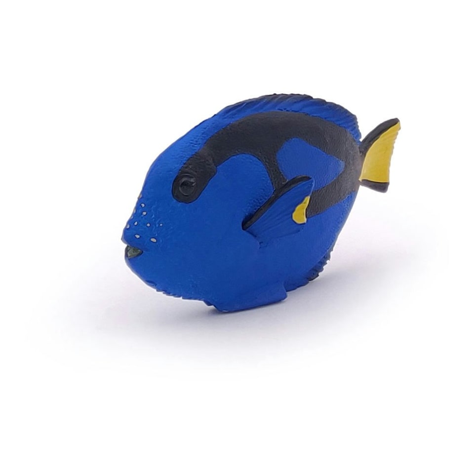image 1 of PAPO Marine Life Surgeonfish Toy Figure