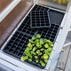 image 8 of Grow It Wooden Growhouse Dove Grey | Grey | Dove Grey | 1 x Growhouse | 1