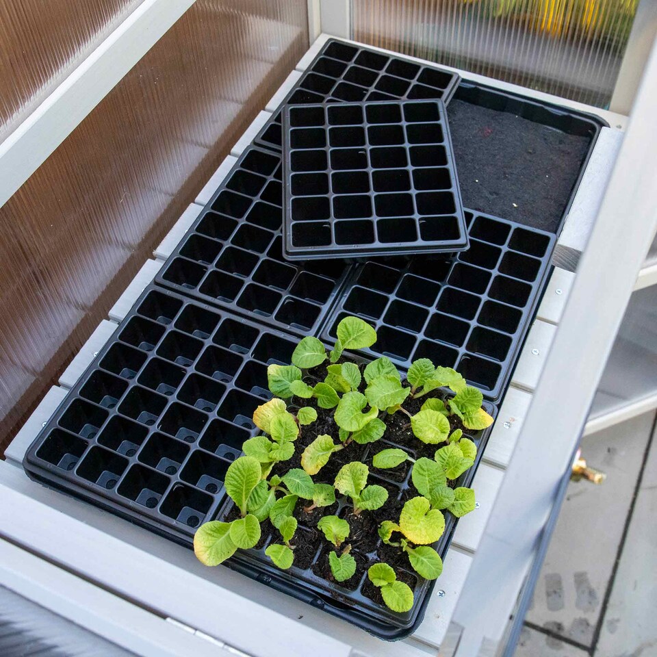 image 1 of Grow It Wooden Growhouse Dove Grey | Grey | Dove Grey | 1 x Growhouse | 1