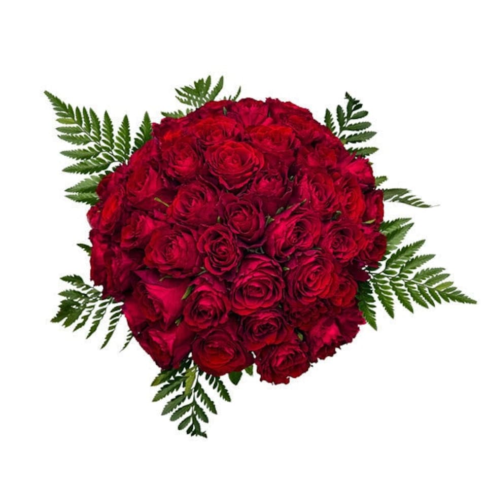 image 1 of 50 Classic Red Roses