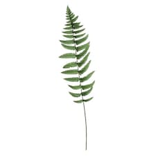 Ladder Fern Leaf Decoration 70cm