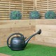 image 3 of 10L Garden Patio Ward Watering Can with Rose in Green