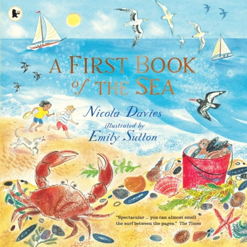 A First Book Of The Sea