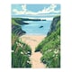 image 3 of Barafundle Bay Seaside Spring Flowers Wales Black Framed Wall Art Print A4