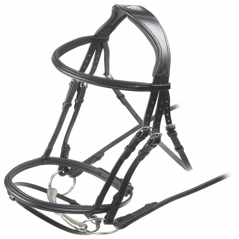 image 1 of Shires Velociti Padded Raised Flash Bridle Brown | Size: X-Full
Colour: H.Brown