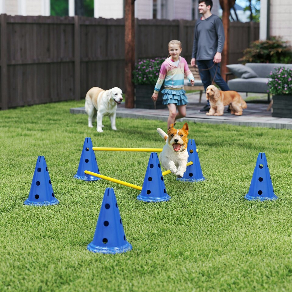 image 1 of PawHut Dog Agility Equipment Set, Three-Piece Adjustable Height Jumping