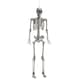 image 1 of 5ft (152cm) Battery Powered Light up Halloween Skeleton with Poseable Joints & Green LEDs