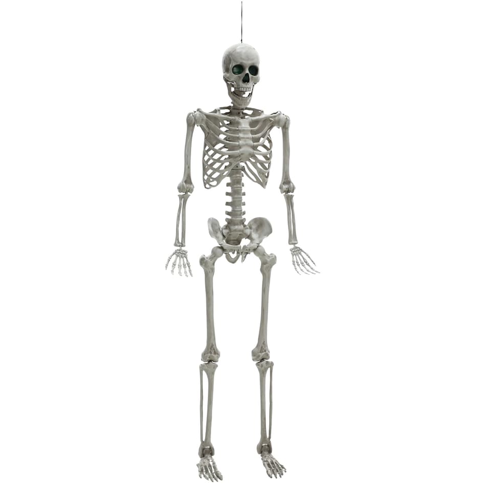 image 1 of 5ft (152cm) Battery Powered Light up Halloween Skeleton with Poseable Joints & Green LEDs