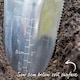 image 9 of Marshalls Garden Broad Bean Seeds Meteor Vroma - 60 Seeds | Green | Green