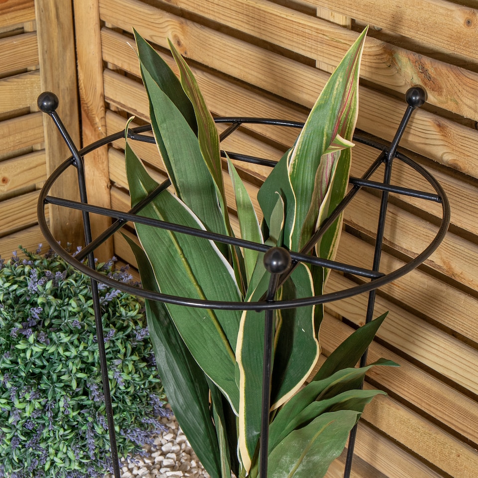 image 1 of Tom Chambers Heavy Duty Black Metal Steel Garden Plant Support Grow Through - 60cm x 35cm