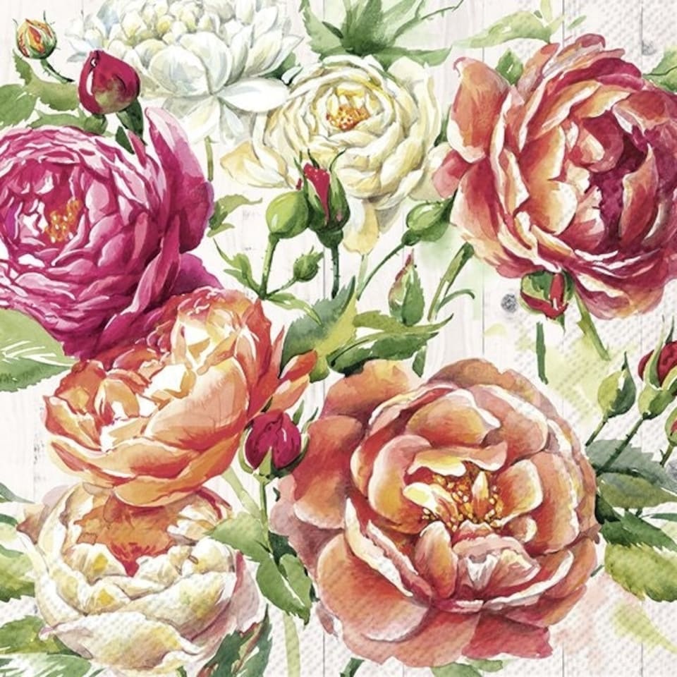 IHR  Apricot Rose Cream Cocktail Napkin 25cm 3ply 20 Pack