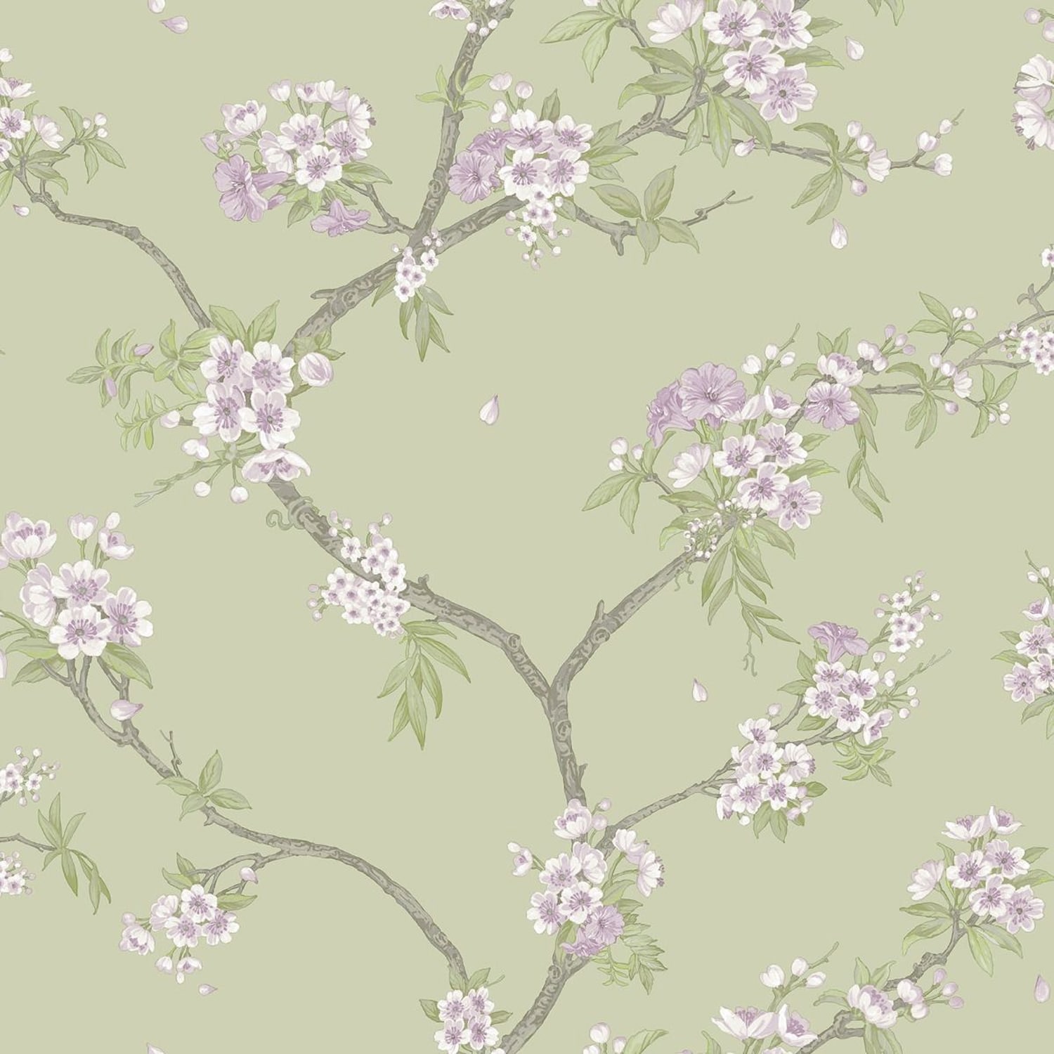 Holden Decor Cherry Blossom Wallpaper Green Sage Green 1