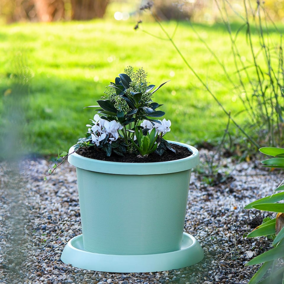 image 1 of Plastic Flowerpot with Saucer Pistachio Green x 2 | Green