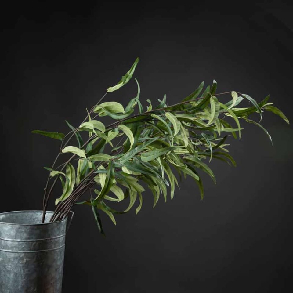 image 1 of Eucalyptus Nicholii Spray Artificial Plant - Plastic - L46 x W46 x H128 cm - Green