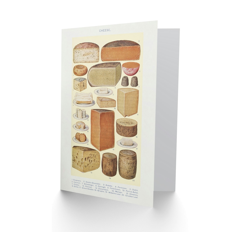 image 1 of Mrs Beeton Household Management Art Card Types of Cheese