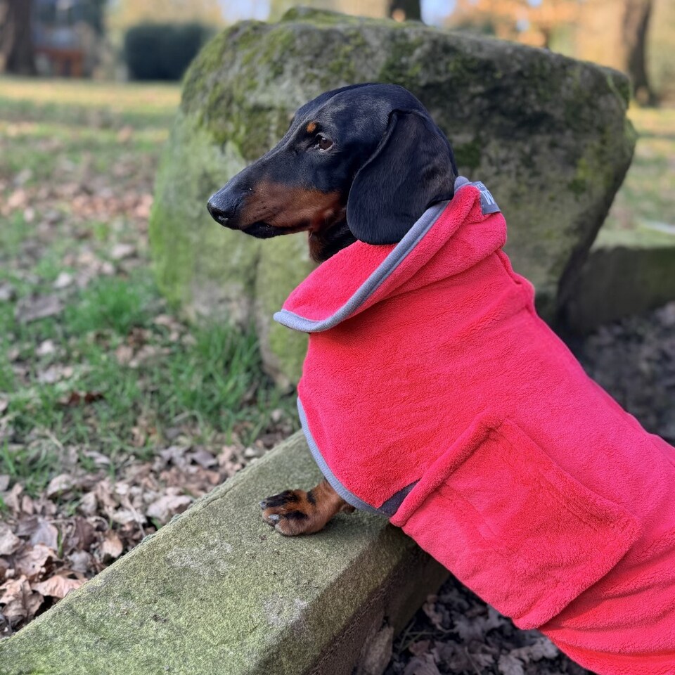image 1 of Henry Wag Large Red Dog Drying Coat