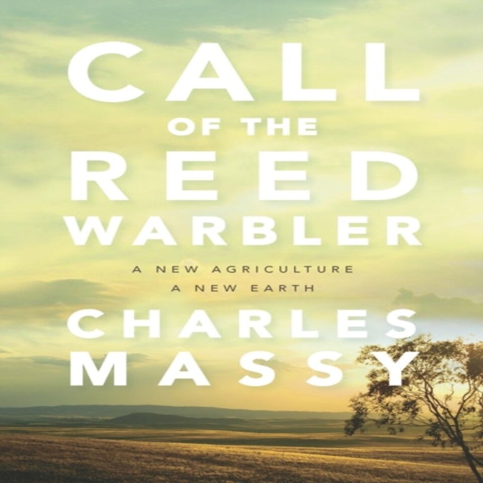 Call Of The Reed Warbler