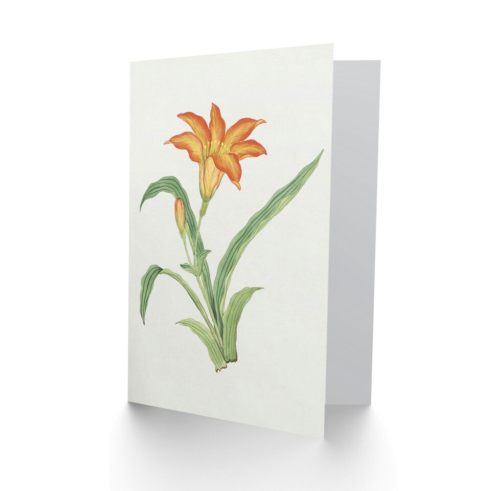 image 1 of Vintage Japanese Botanical Art Card Orange Lily Flower