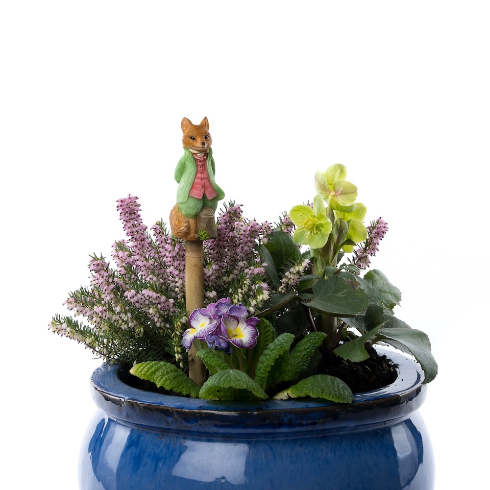 image 1 of Cane Companions Figurine Colour Mr Tod