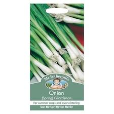 Mr. Fothergills Onion (Spring) Guardsman Seeds